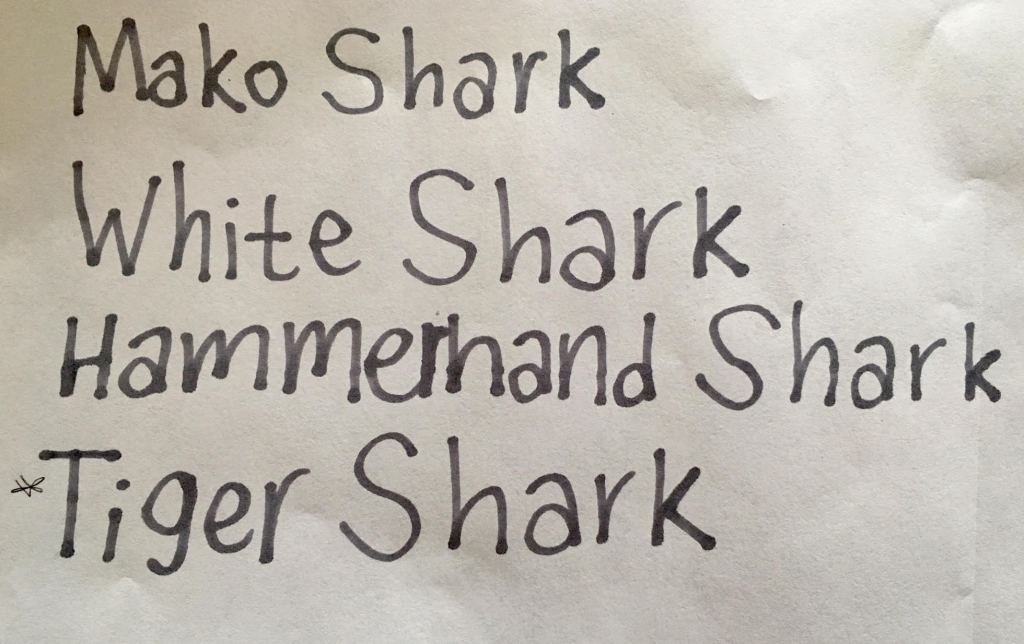 Countdown to Cloud 9: Jimmy