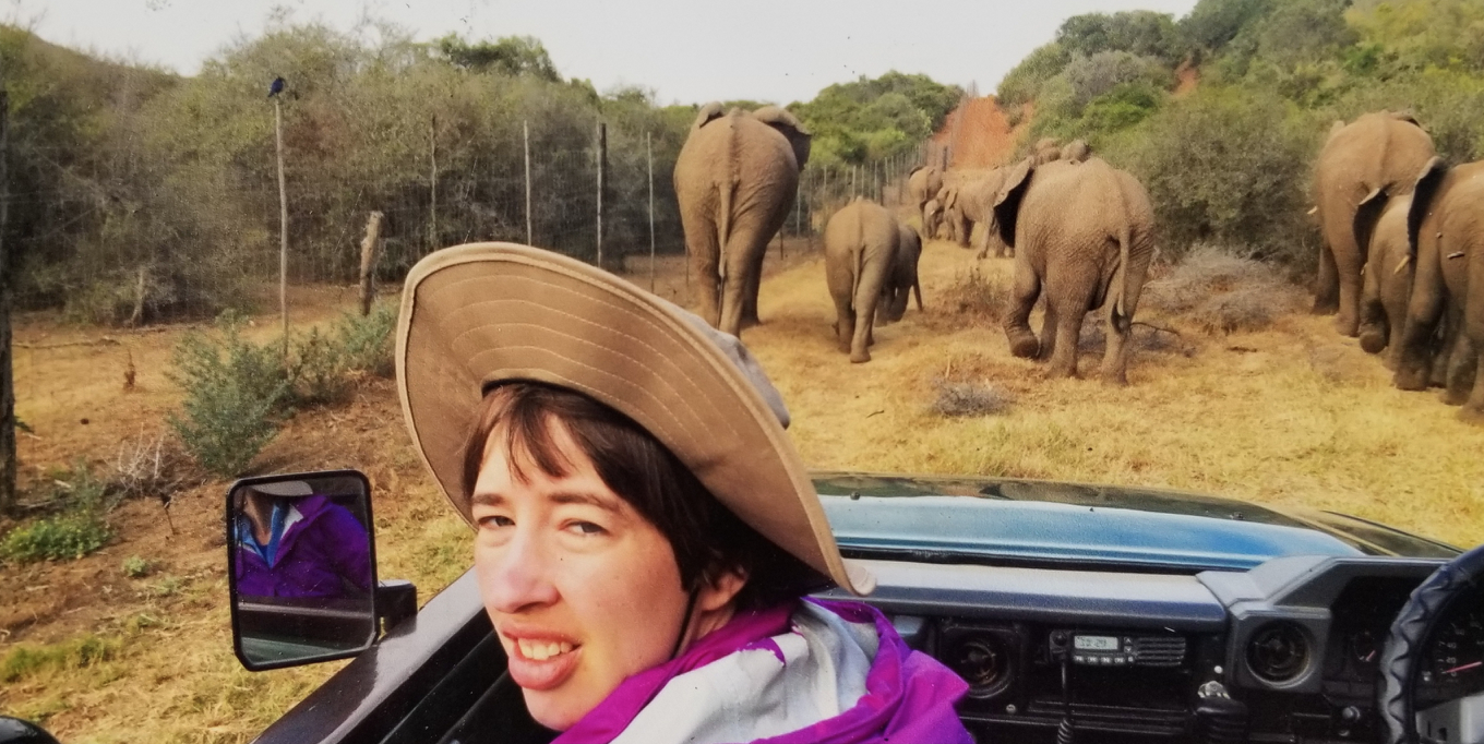 Screen Shot 2019-04-10 at 2.45.30 PM